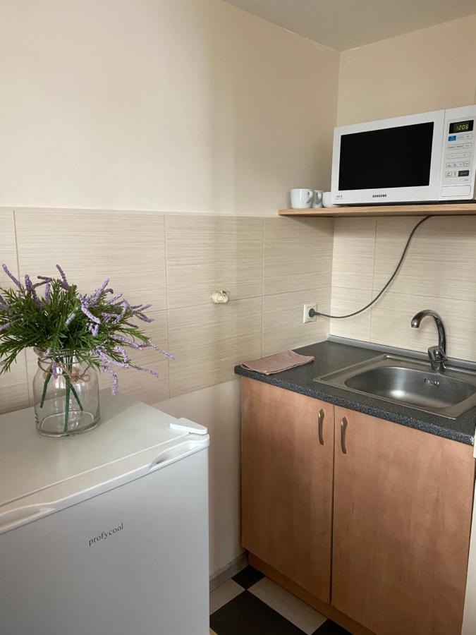 Family Apartment Lviv Buitenkant foto